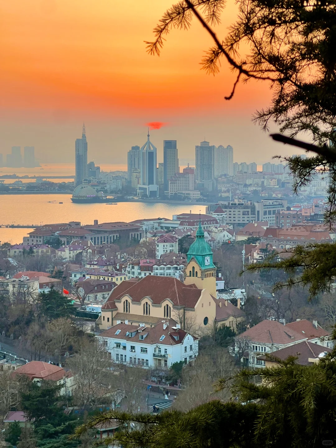 为了这❶❽张live图❗️我特意去了一趟青岛❗️