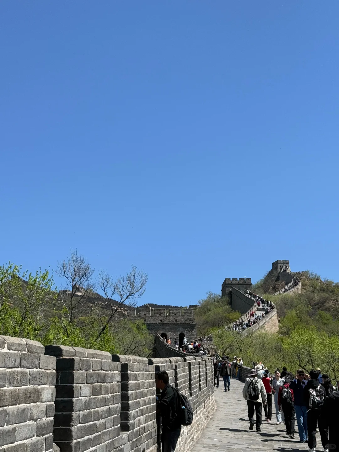 不敢贪便宜，给爷爷奶奶报到了靠谱北京团…