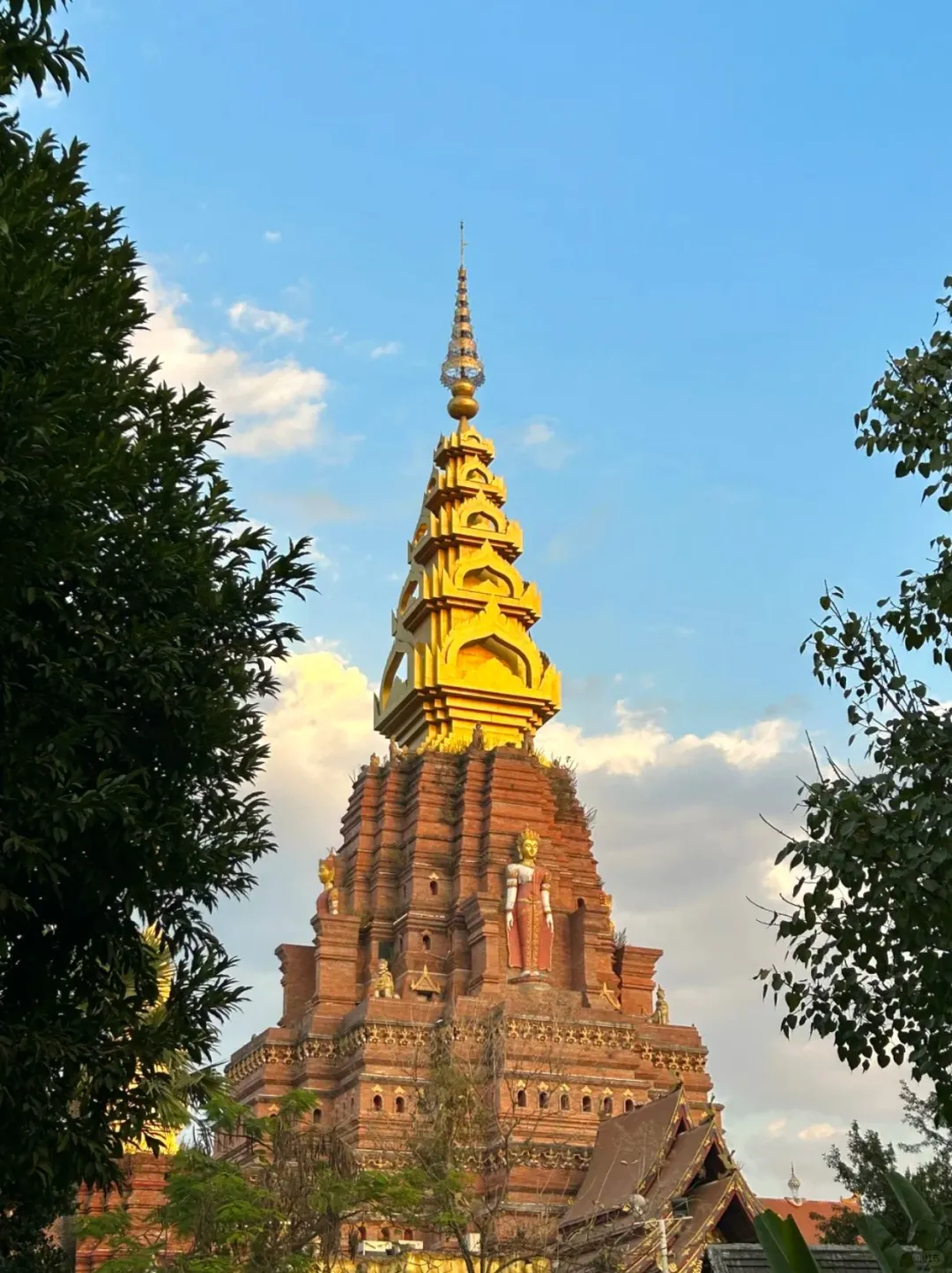 五一去版纳懒人旅游攻略，直接抄作业