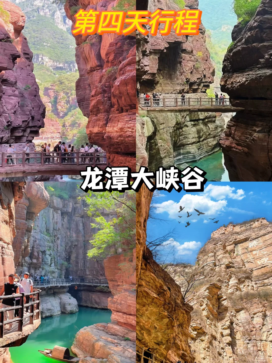 04女大穷游洛阳📍四天｜真实旅游分享✌️