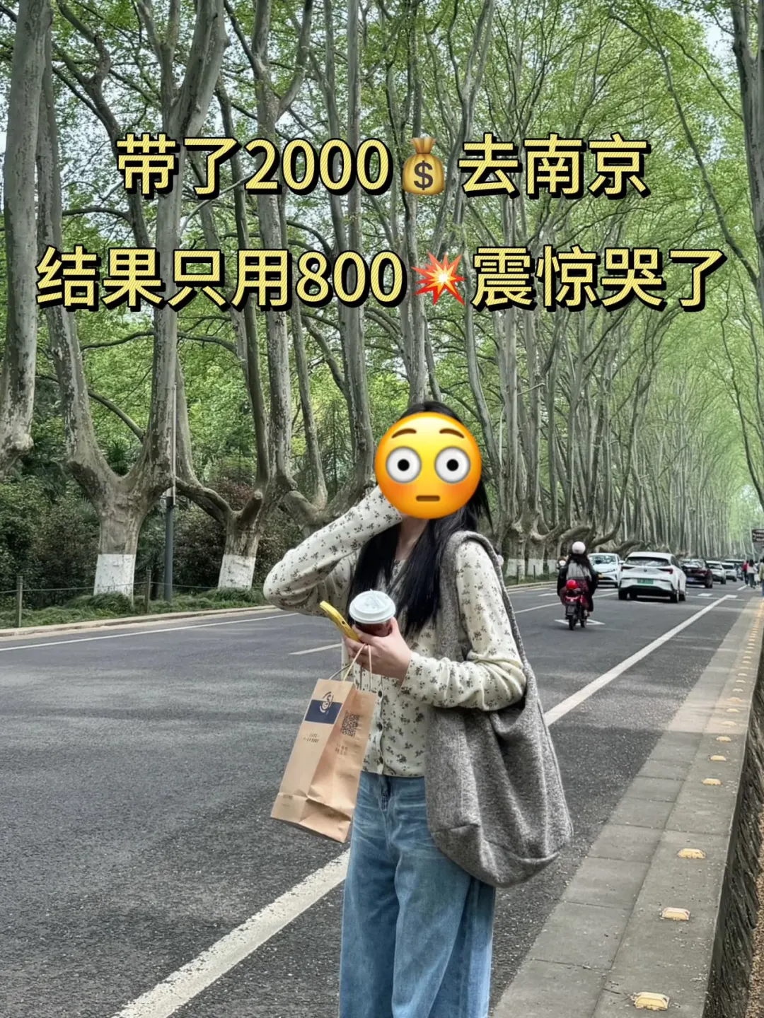 大学生800💰勇闯南京三日（已成功）
