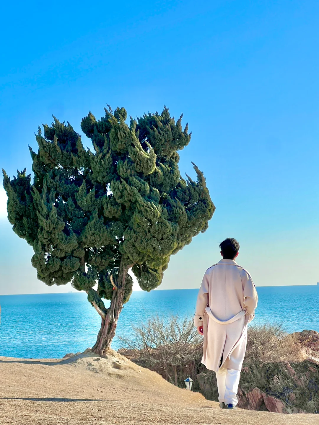 为了这❶❽张live图❗️我特意去了一趟青岛❗️