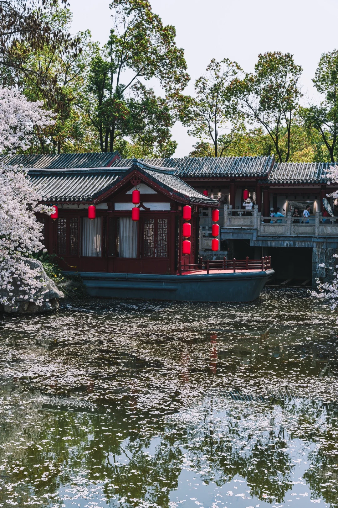 💖武汉，一场浪漫的邂逅之旅✨