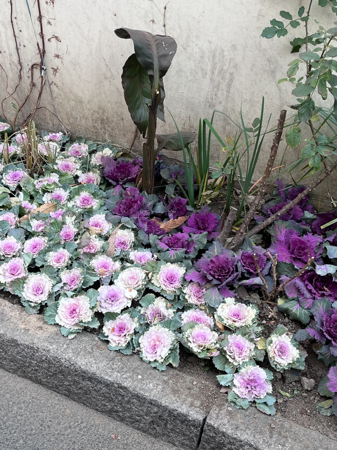 淡季的山东太爽啦！