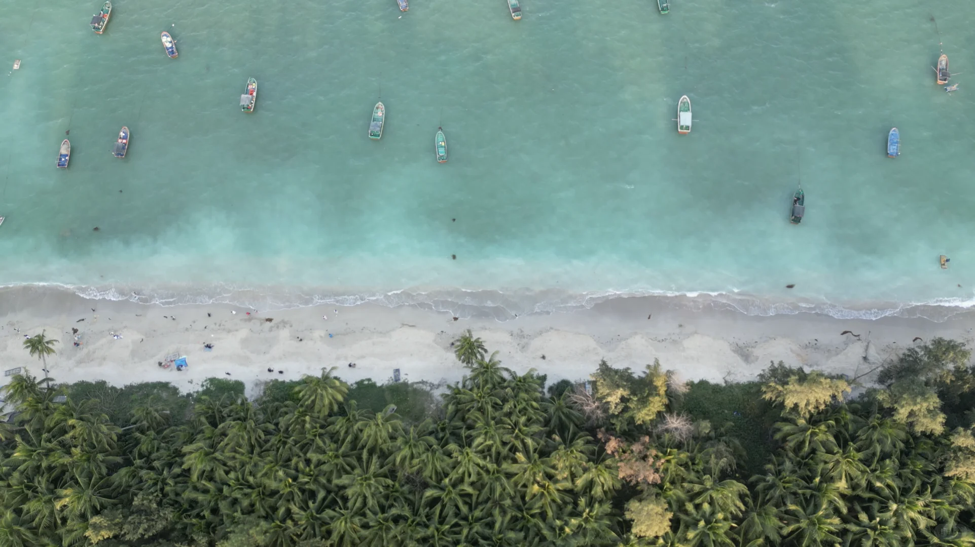 请查收你的琼海五一旅游攻略！无广
