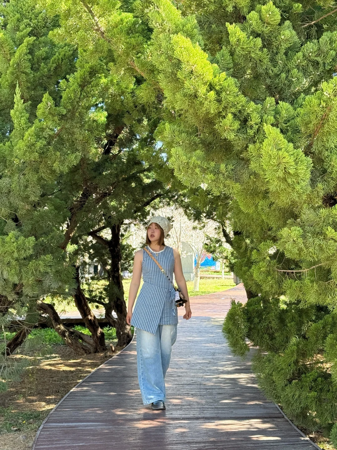 🌸“樱花味的春天”在旅顺