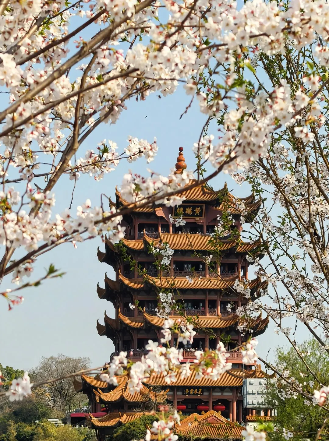 💖武汉，一场浪漫的邂逅之旅✨