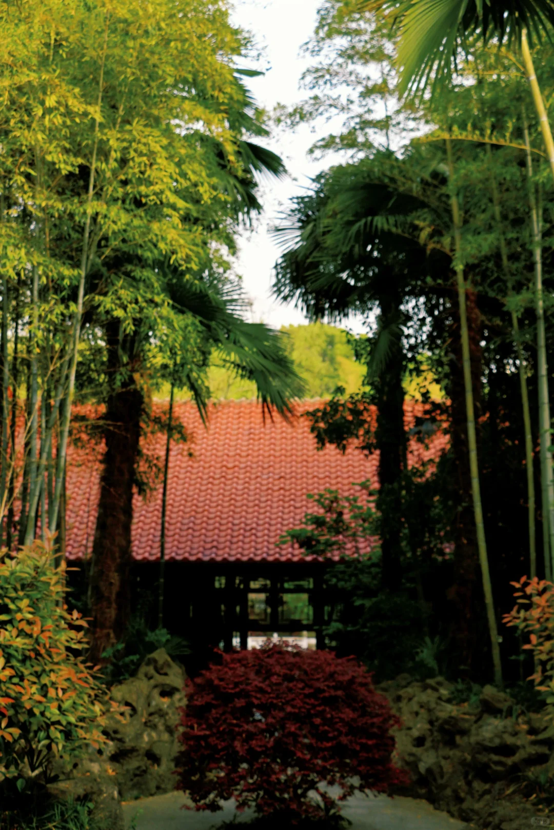 南京景点📍本地人也很少知道的小众园林