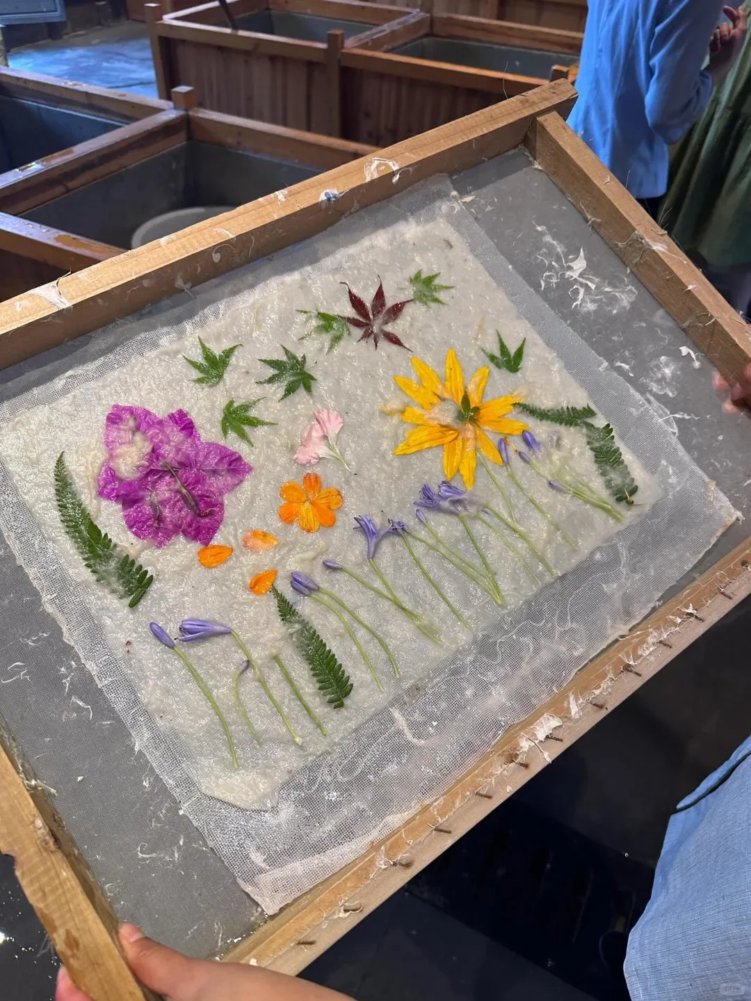 本以为崇左很适合遛娃了，直到去了罗甸！