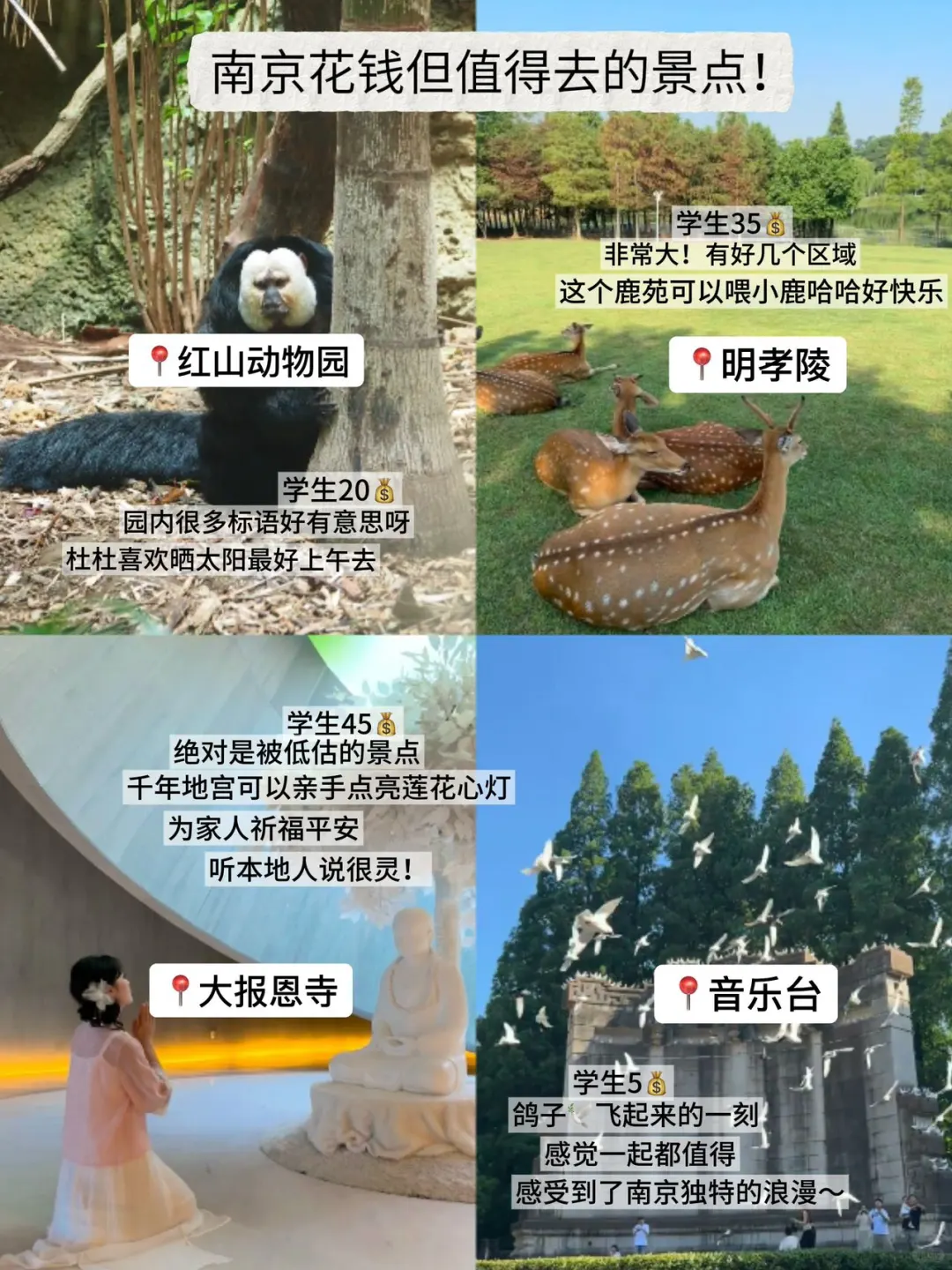 大学生800💰勇闯南京三日（已成功）