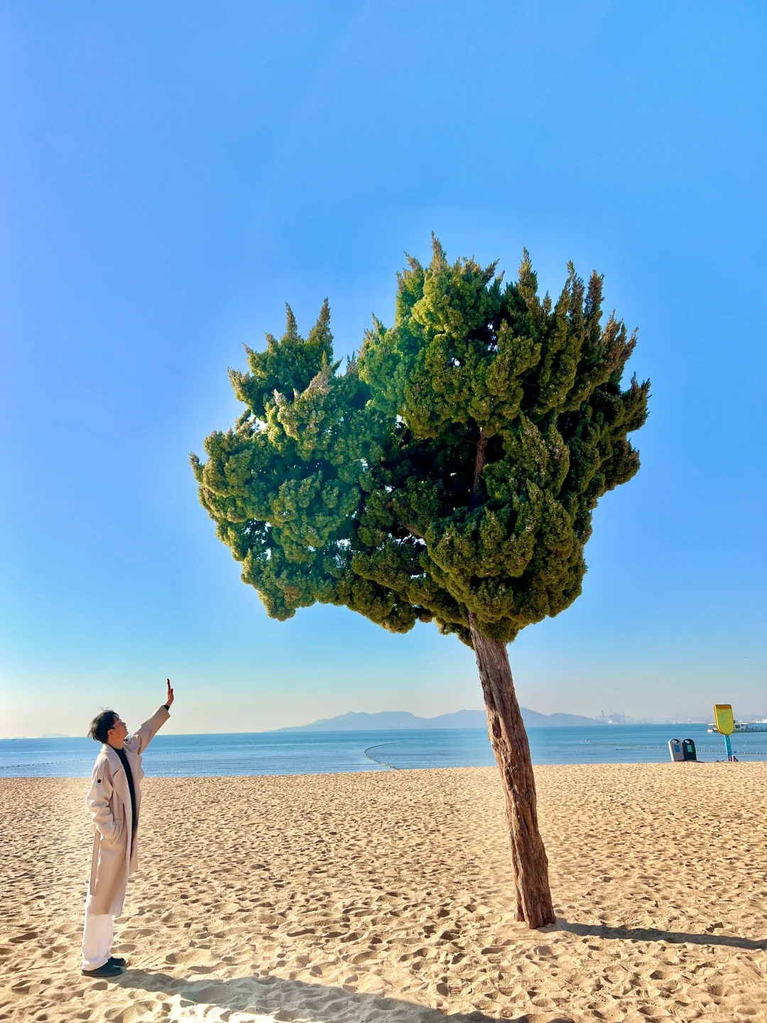 为了这❶❽张live图❗️我特意去了一趟青岛❗️