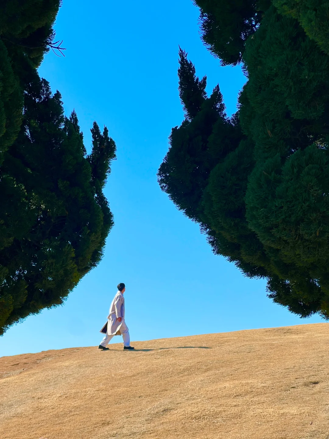 为了这❶❽张live图❗️我特意去了一趟青岛❗️