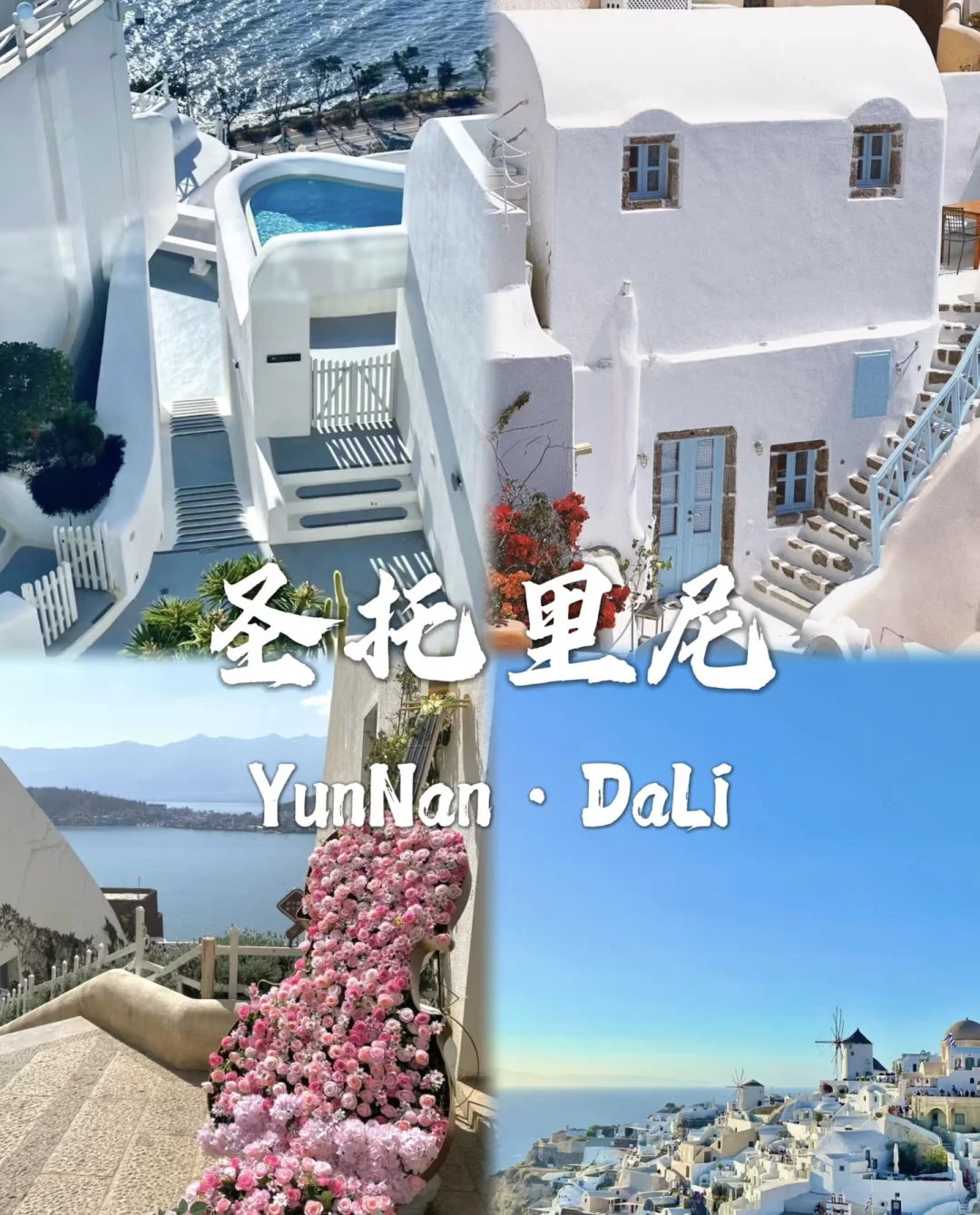 去过有风的地方大理洱海🌊