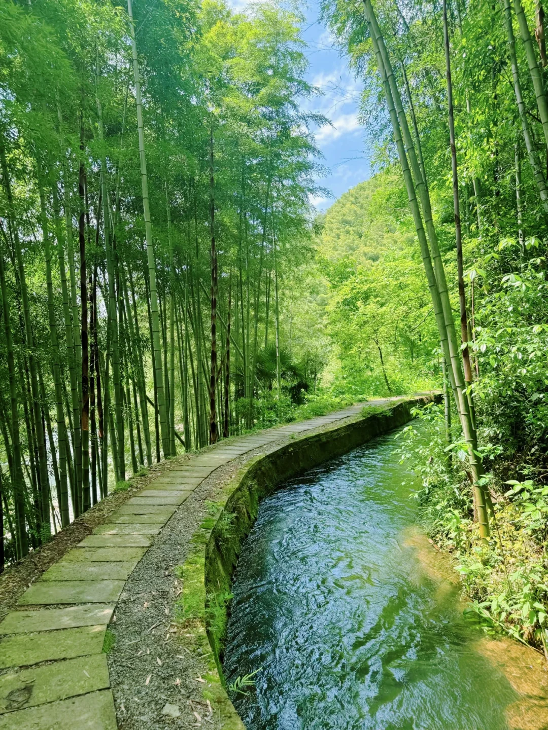 五一去哪玩❓我被这条徒步古道治愈了