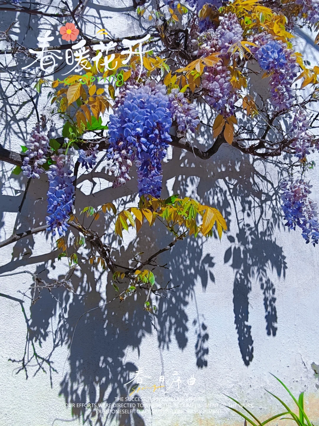 圣周历险记：当旅途按下暂停键