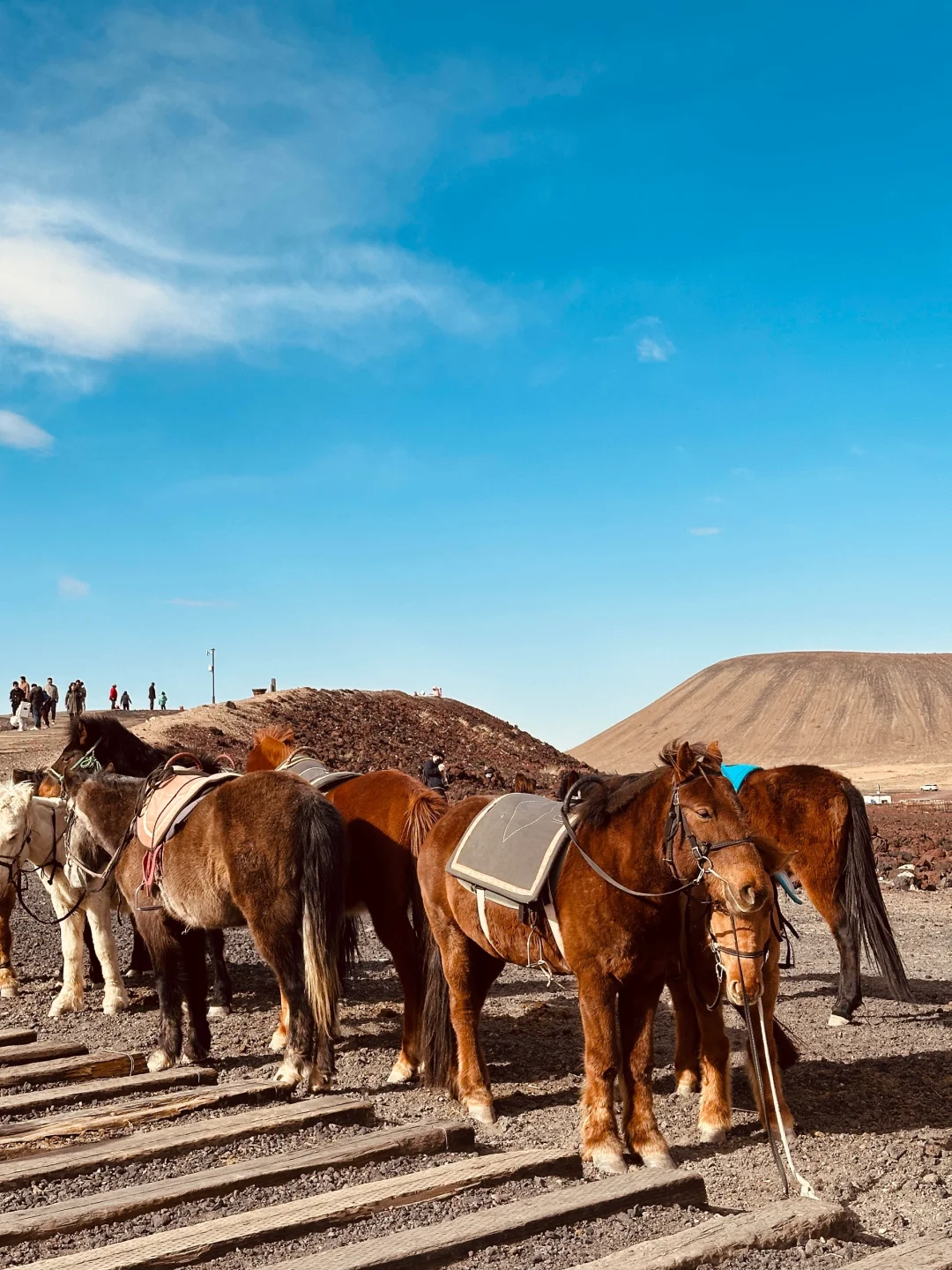 五一避开人挤人❌我选择去火山+沙漠“发疯”🔥