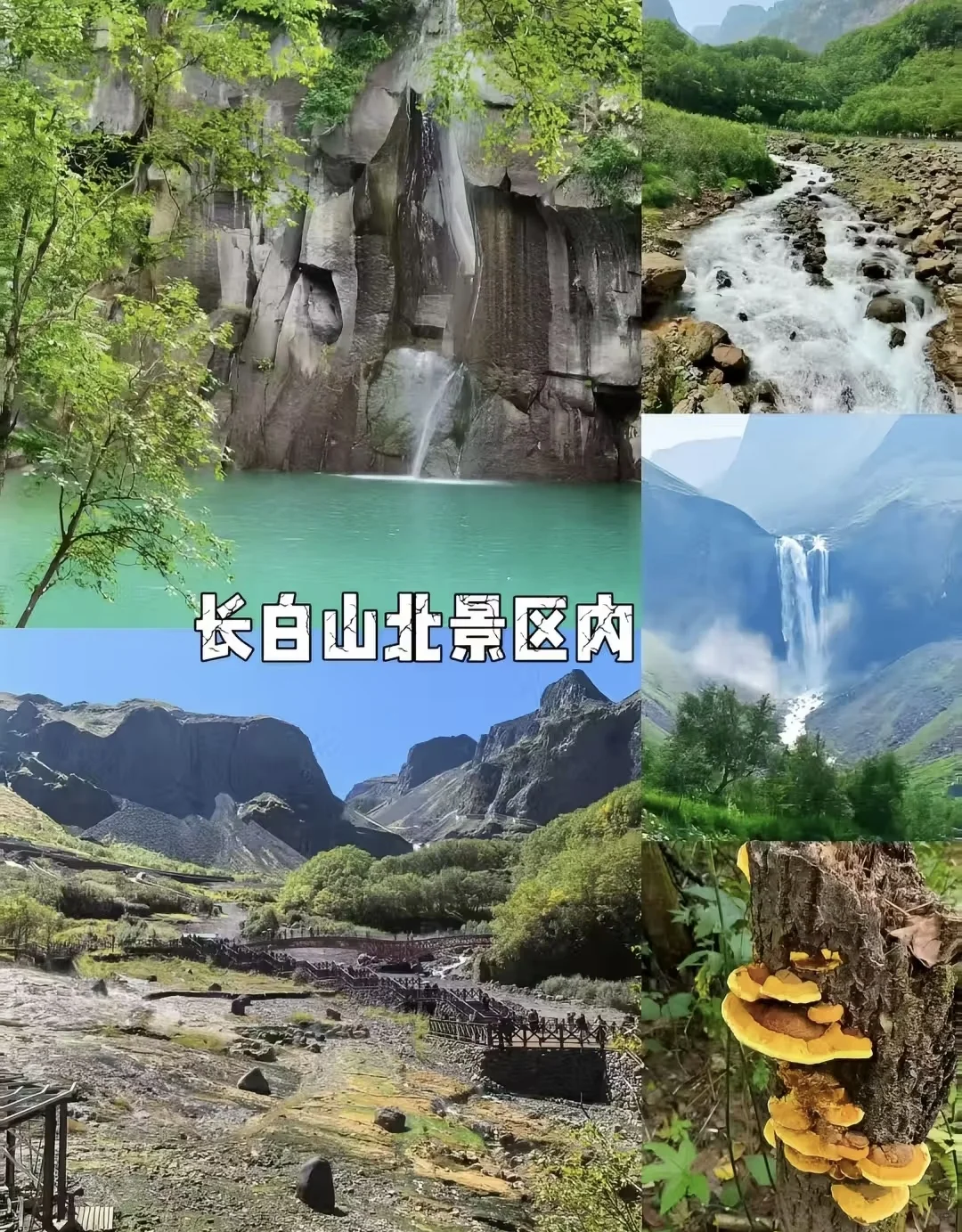 五一奔赴长白山！