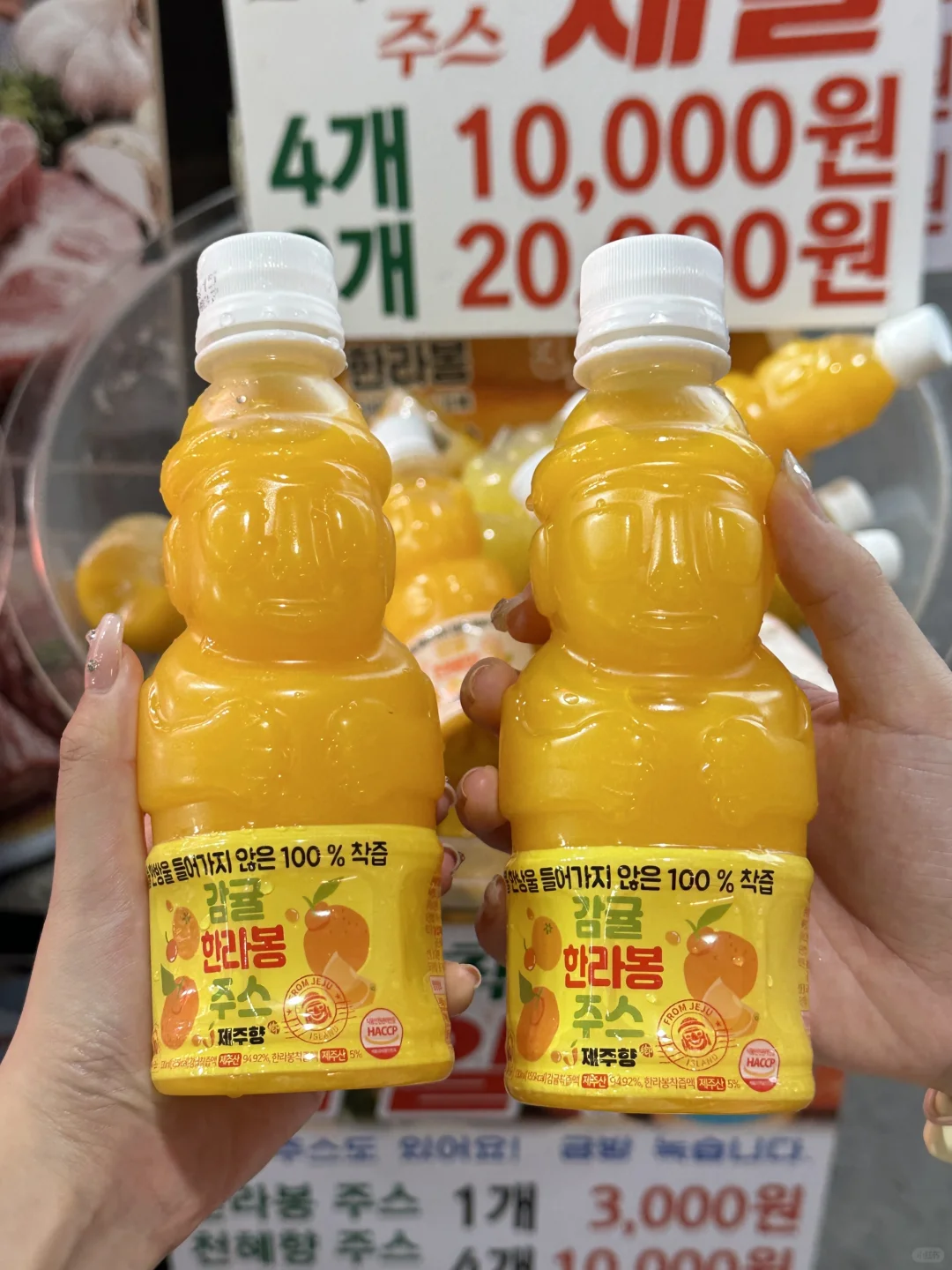 对自己的济州岛攻略满意到睡不着觉…