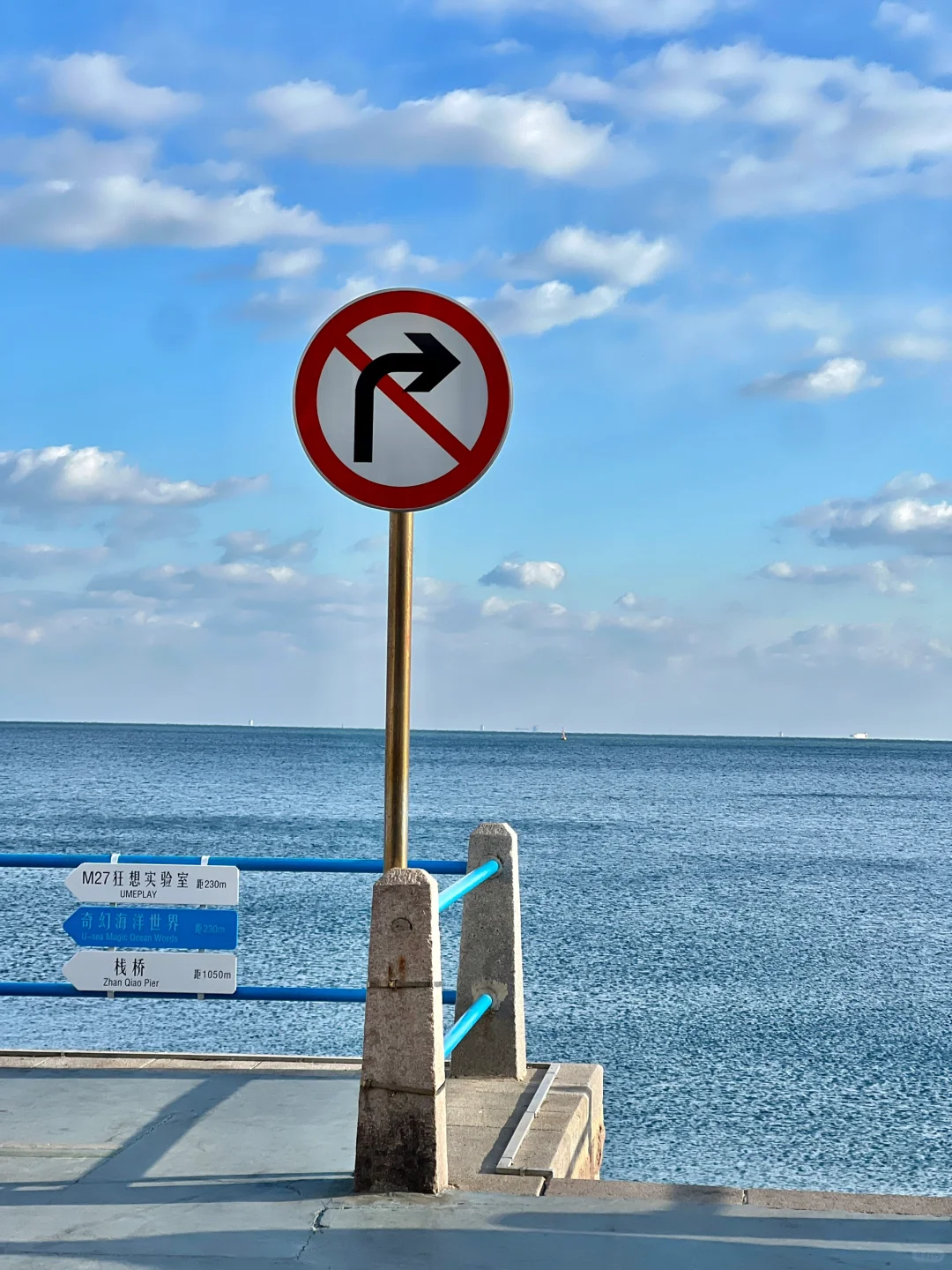 为了这❶❽张live图❗️我特意去了一趟青岛❗️