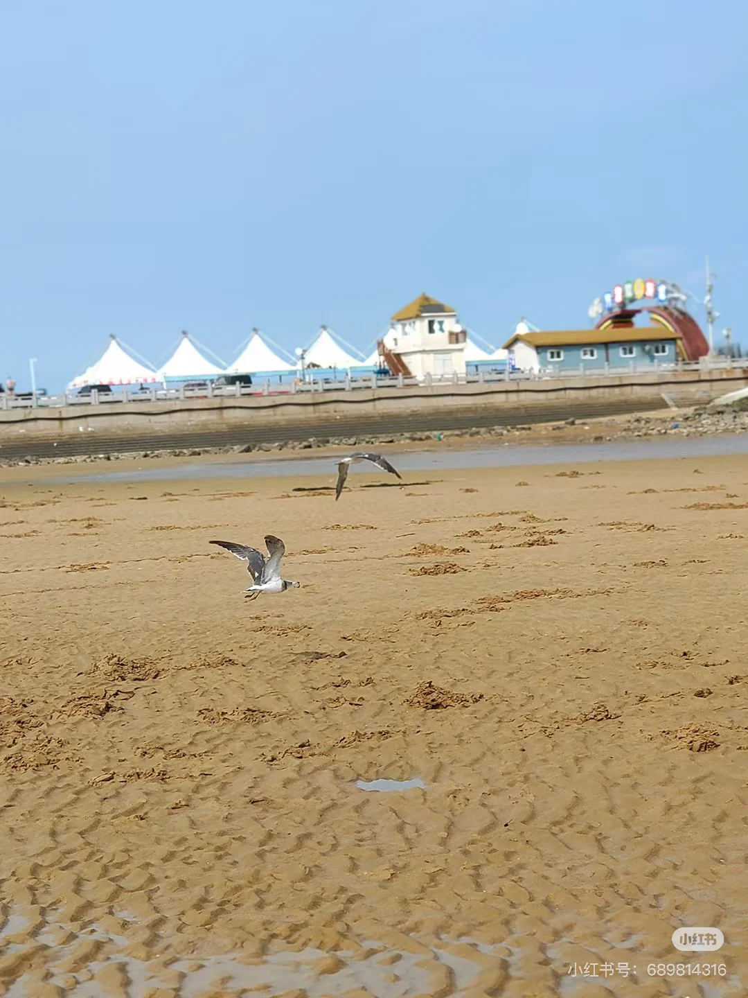 日照旅游攻略地图🗺️