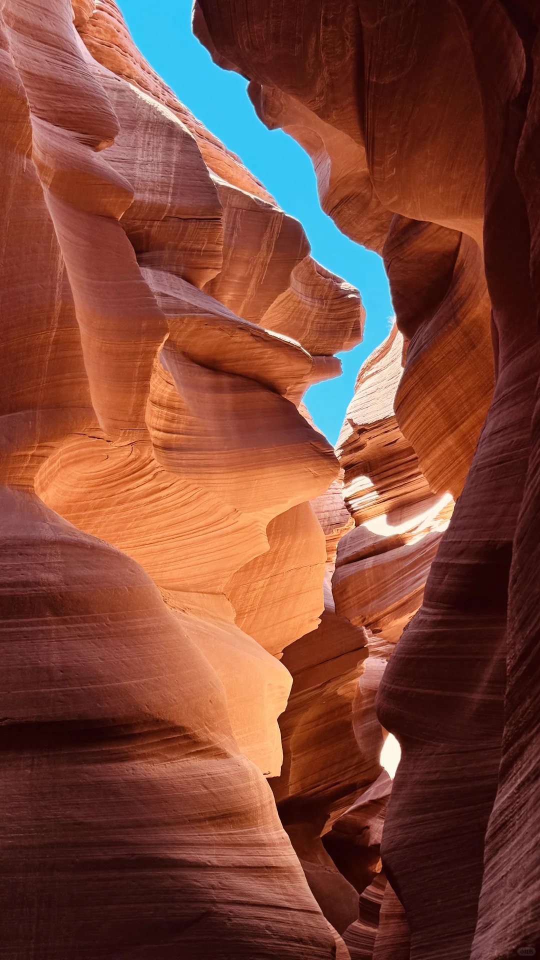 拉斯维加斯/羚羊谷/马蹄湾