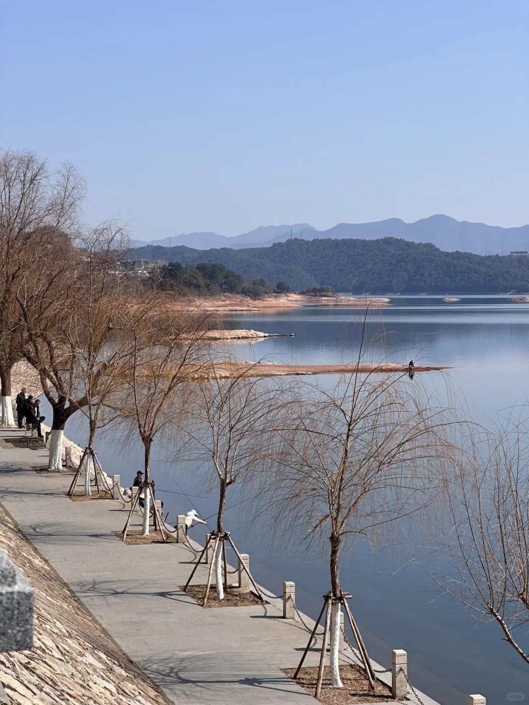 千岛湖2日躺平旅行🌊不开车de美食拍照攻略