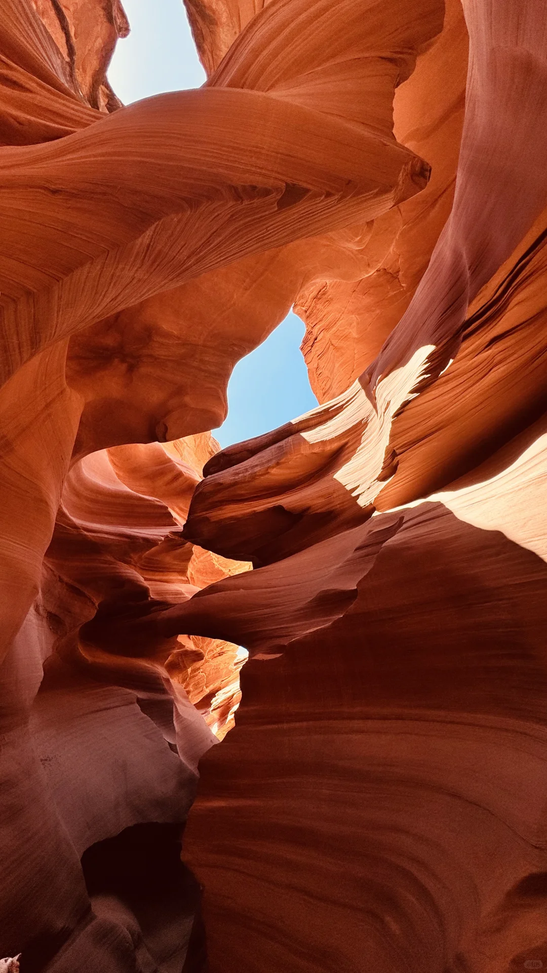 拉斯维加斯/羚羊谷/马蹄湾