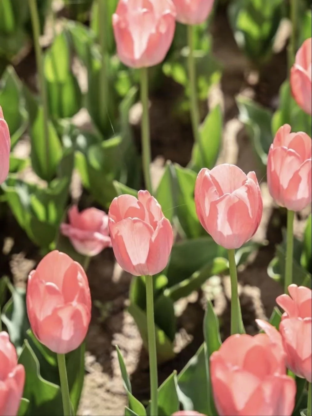 刘家峡？能劝一个是一个，我去了不下十次❗