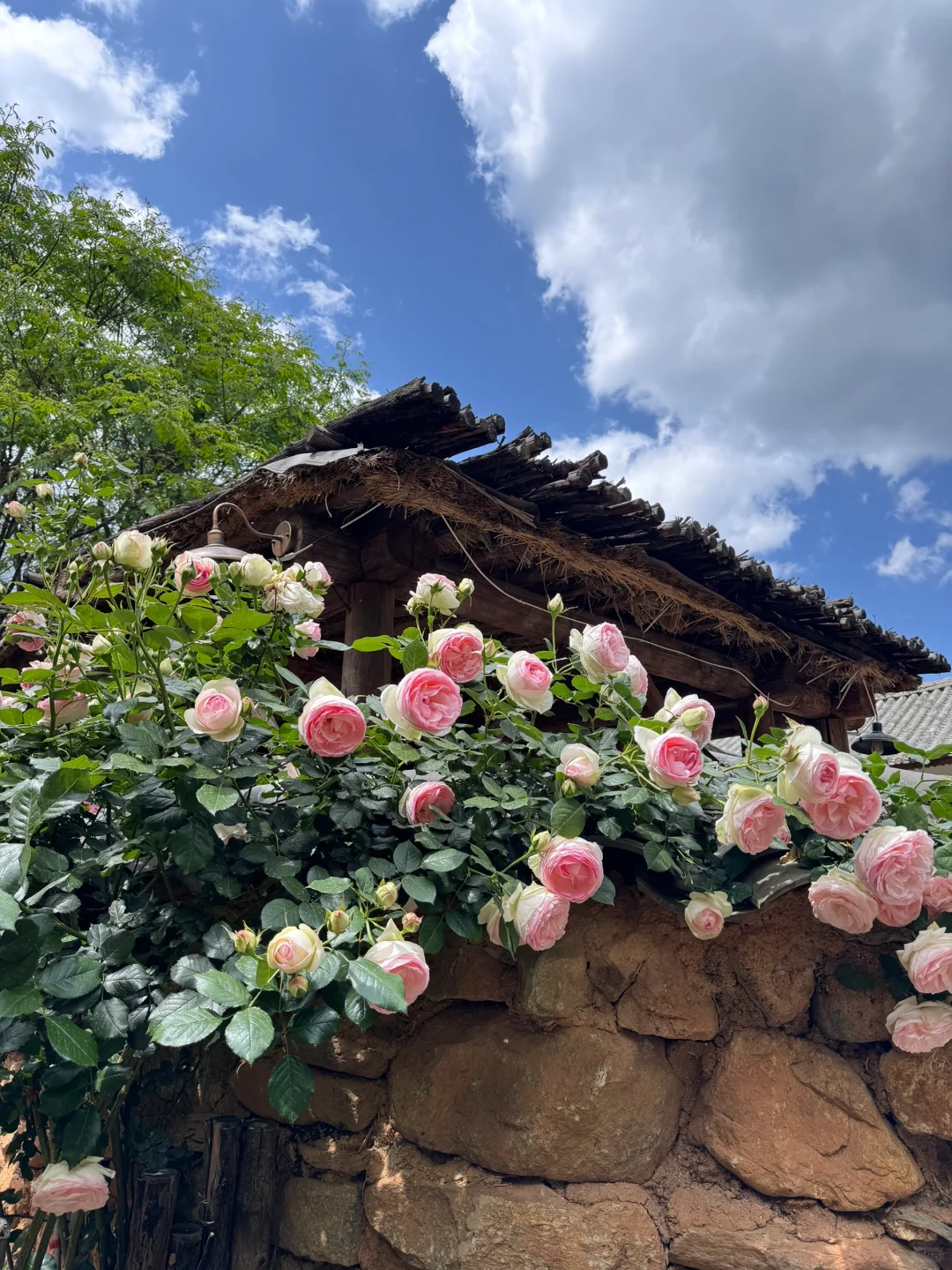 在凤阳邑的一下午