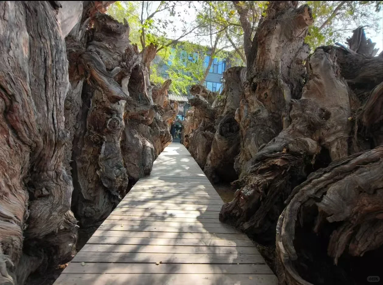 五一拒绝人挤人