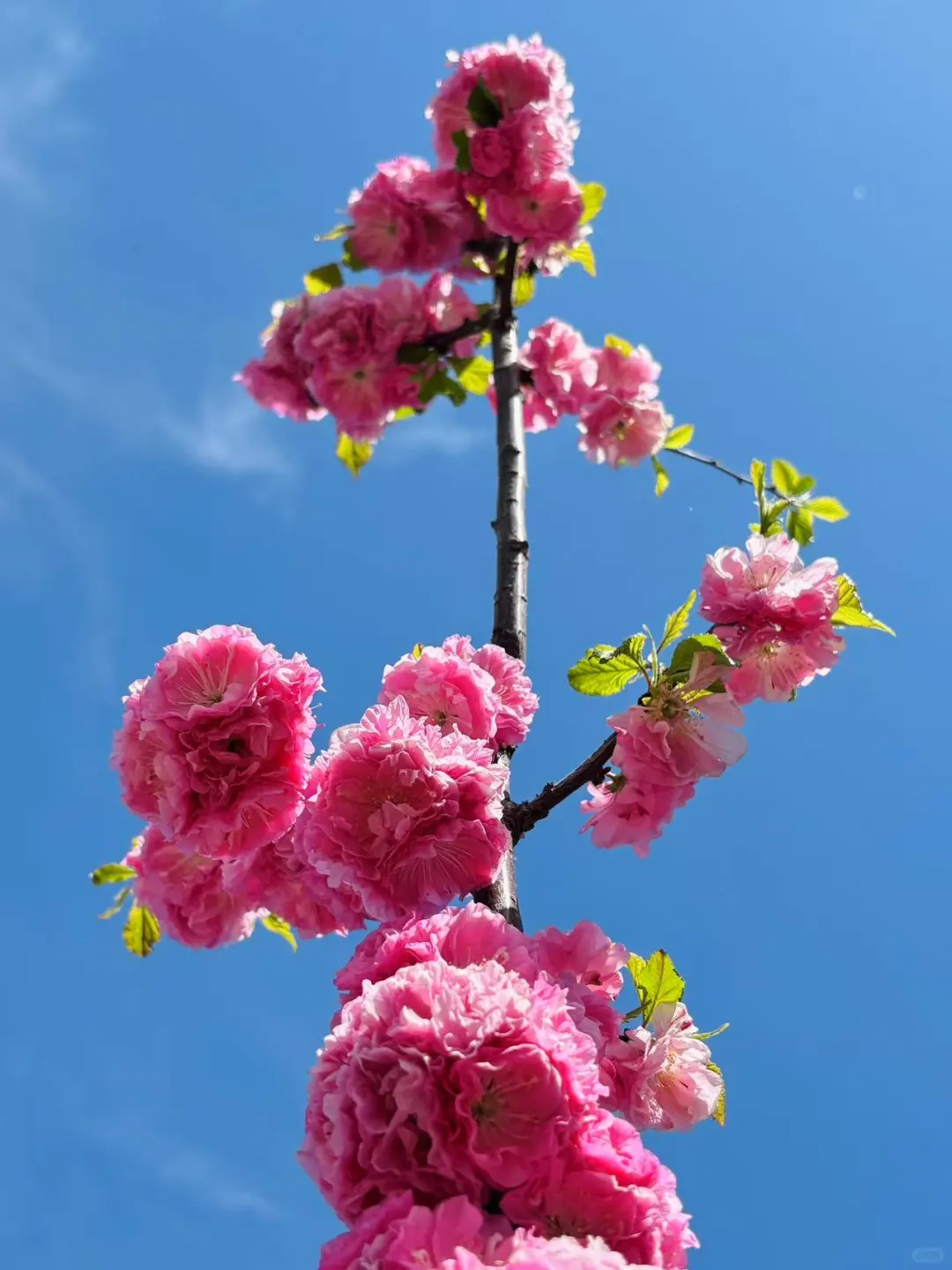 五一来天津的姐妹们注意啦💯来天津一定要看