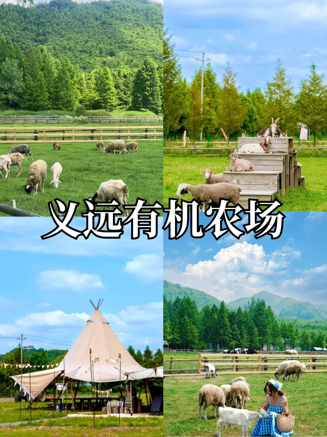 不用找啦❗亲测好玩✅莫干山两天保姆级攻略