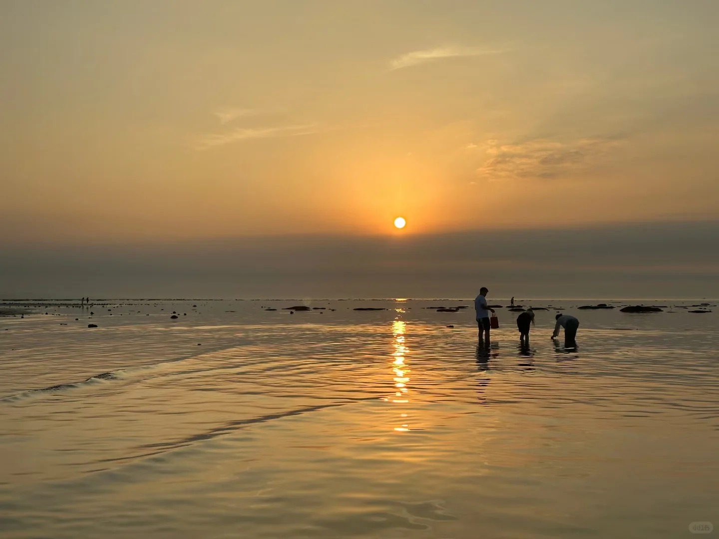 海花岛旅居攻略|2号岛最全旅游攻略🔥