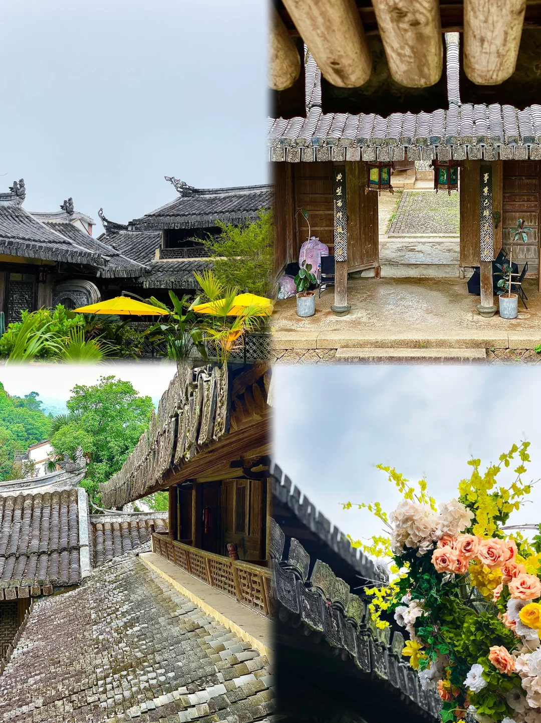 哇哦！温州，也出情况啦🍉🍉🍉🍉