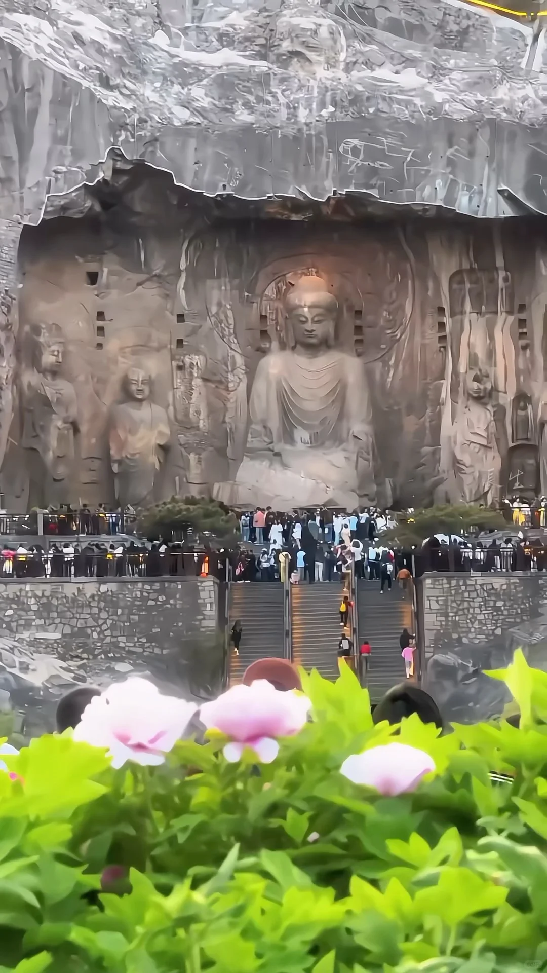 学生党必看！保姆级攻略！