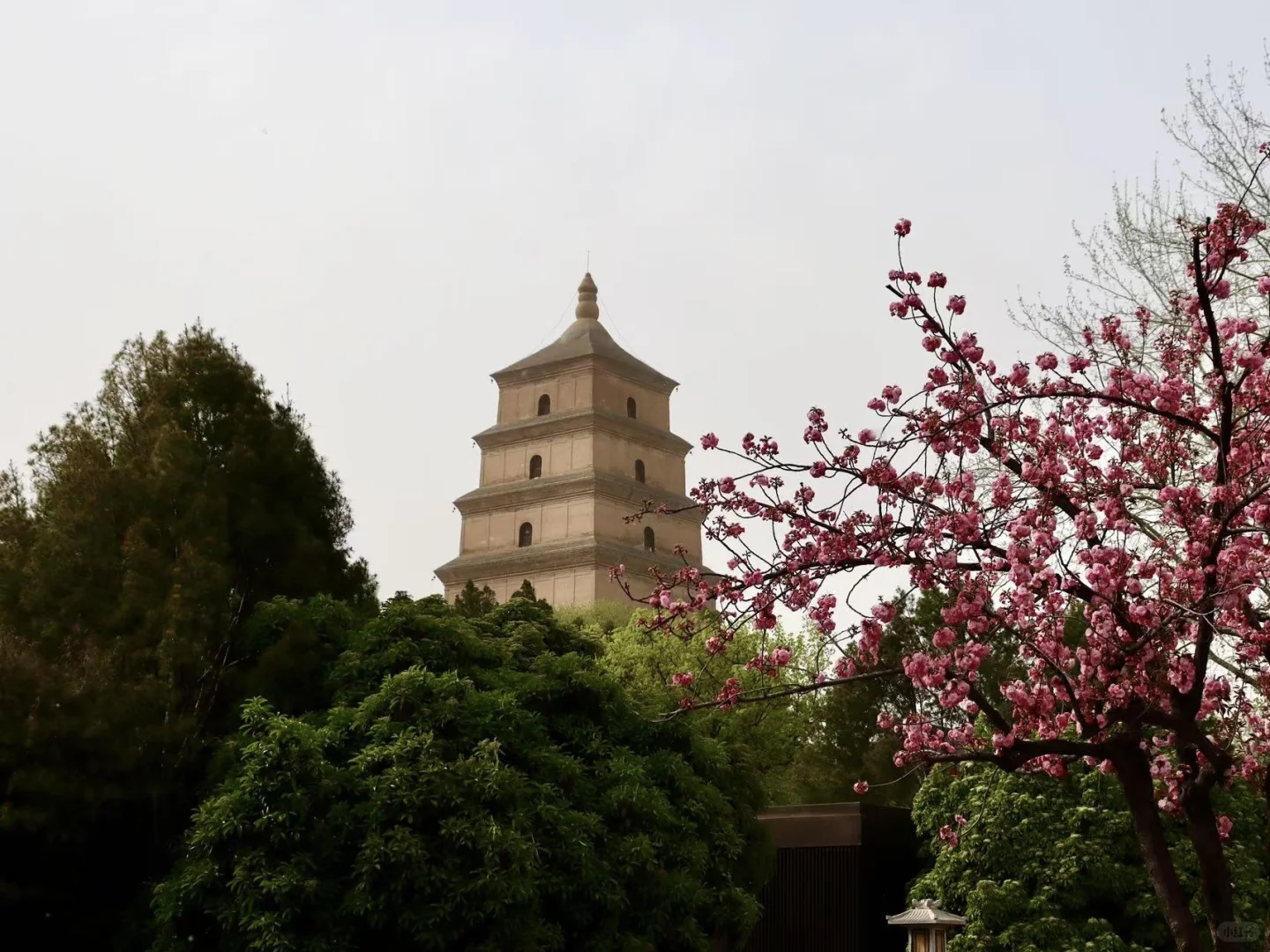 避开节假日去西安到底有多爽‼️