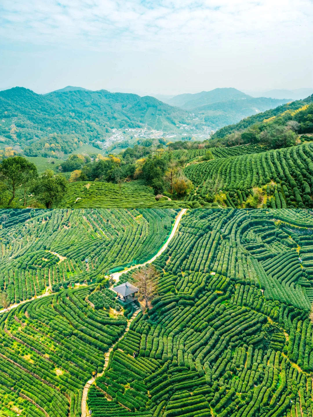 比起雷峰塔，我更推荐西湖这些小众好去处❗