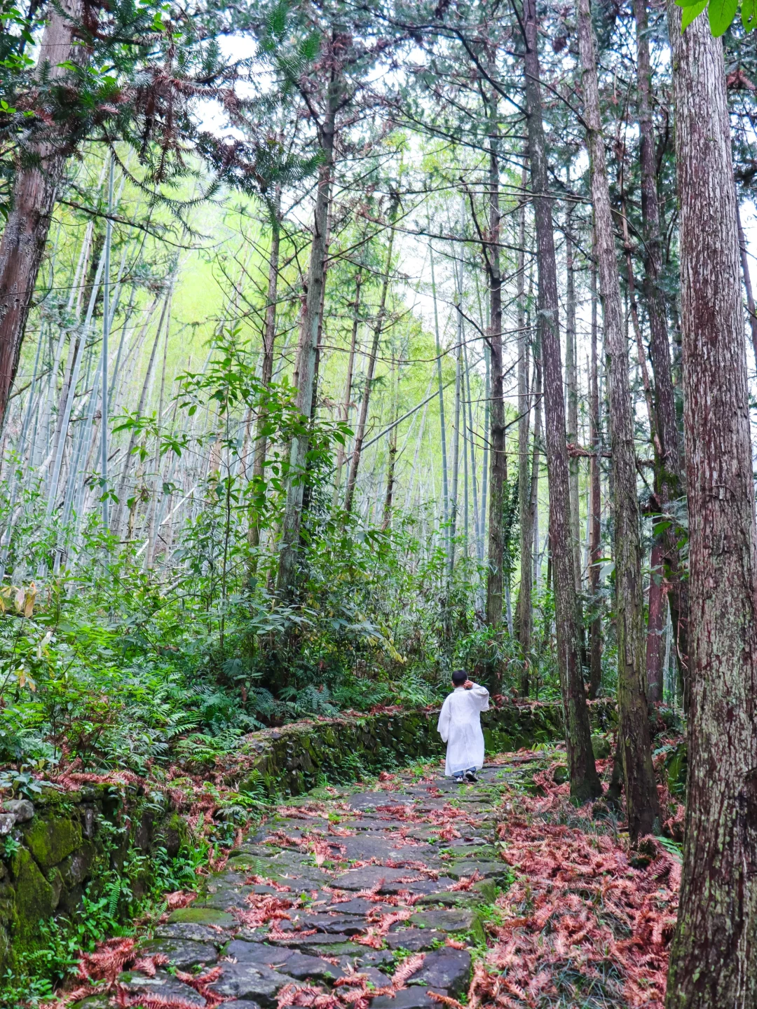 哇哦！温州，也出情况啦🍉🍉🍉🍉