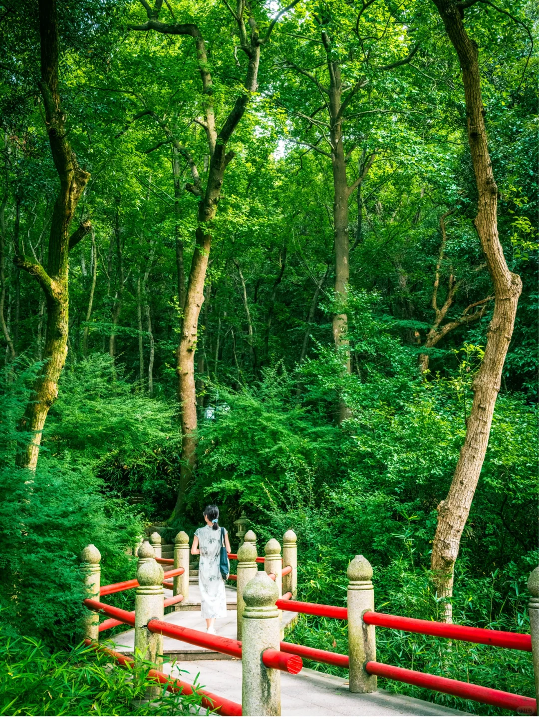 比起雷峰塔，我更推荐西湖这些小众好去处❗