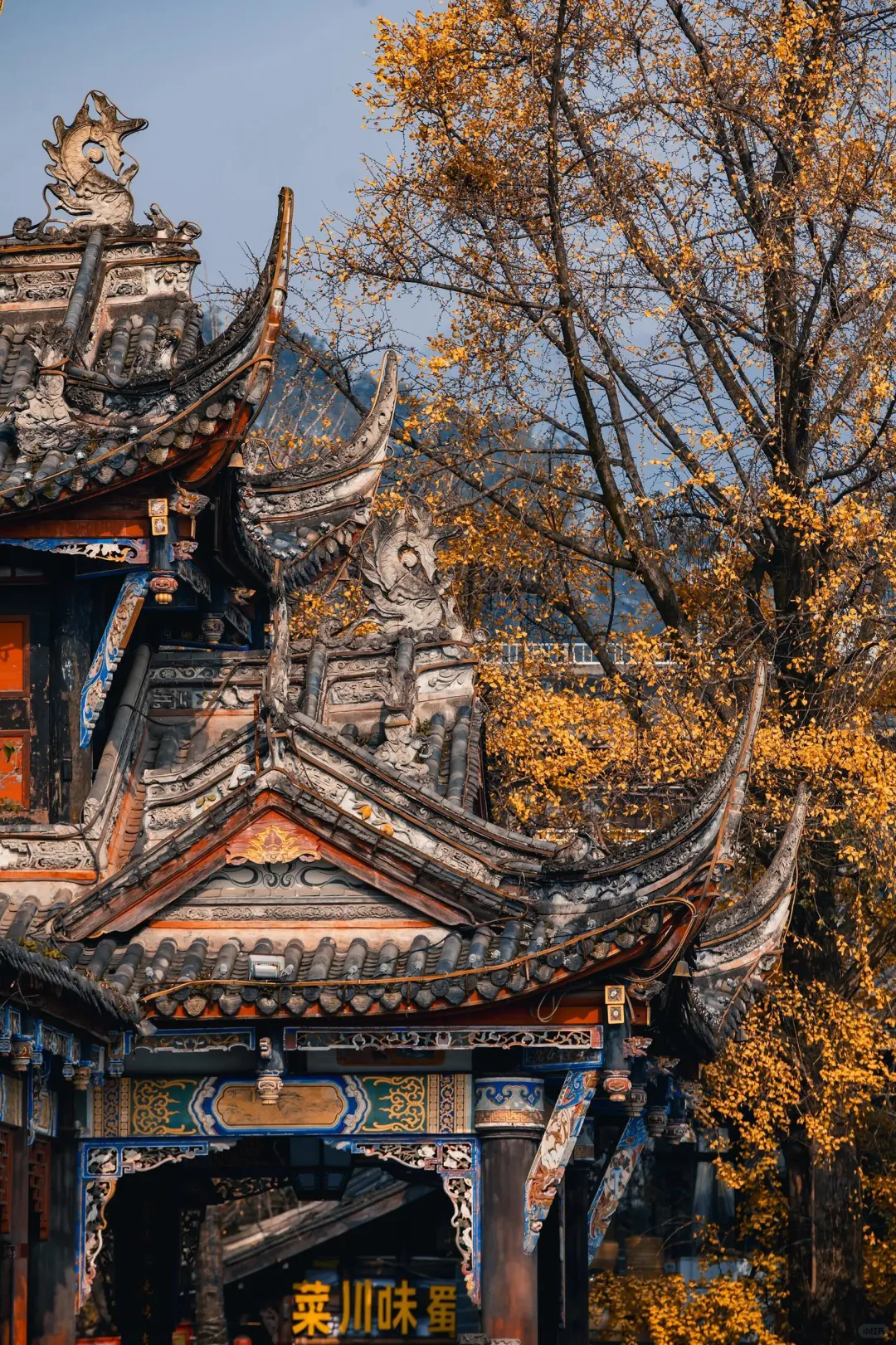 04女大🎓 周末和闺蜜勇闯都江堰❗️❗️