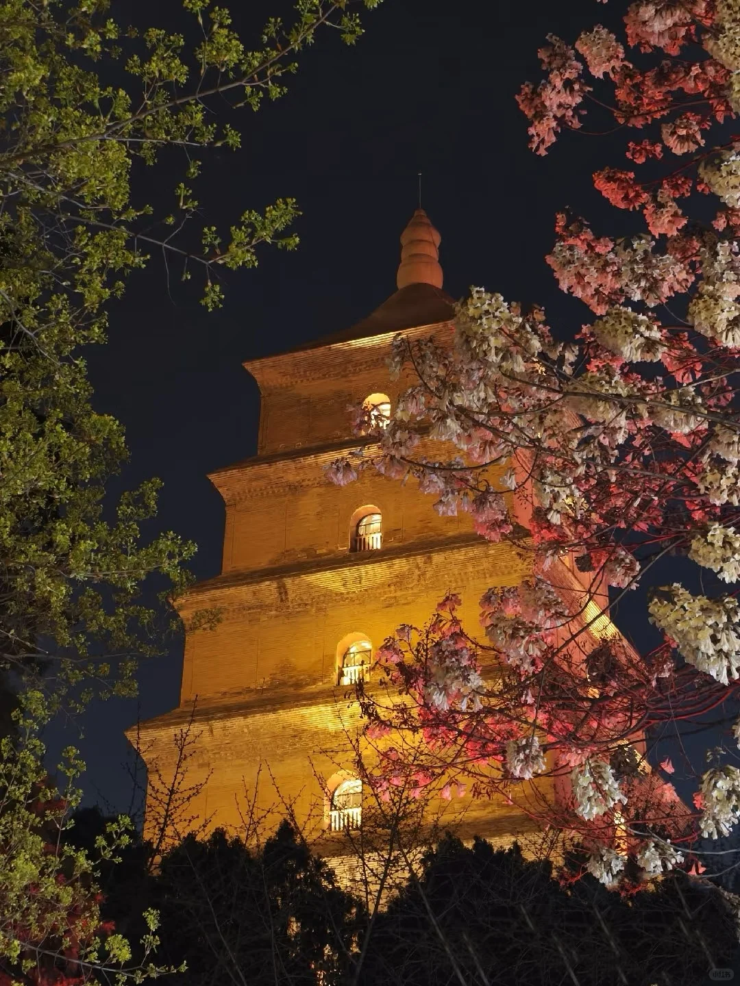 避开节假日去西安到底有多爽‼️