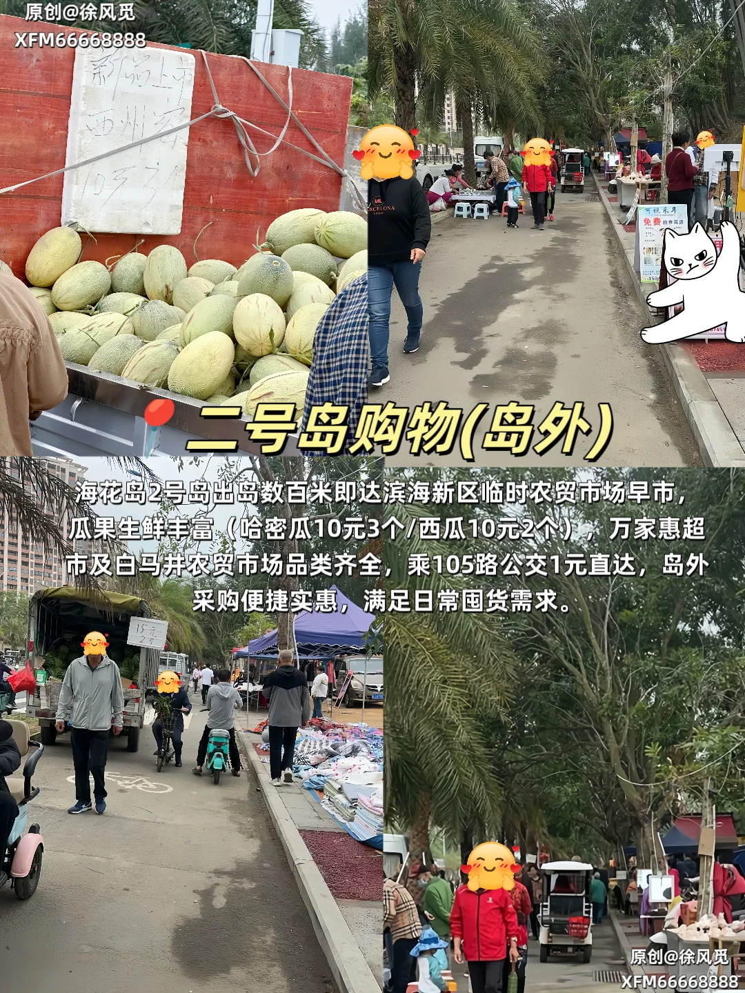 海花岛旅居攻略|2号岛最全旅游攻略🔥