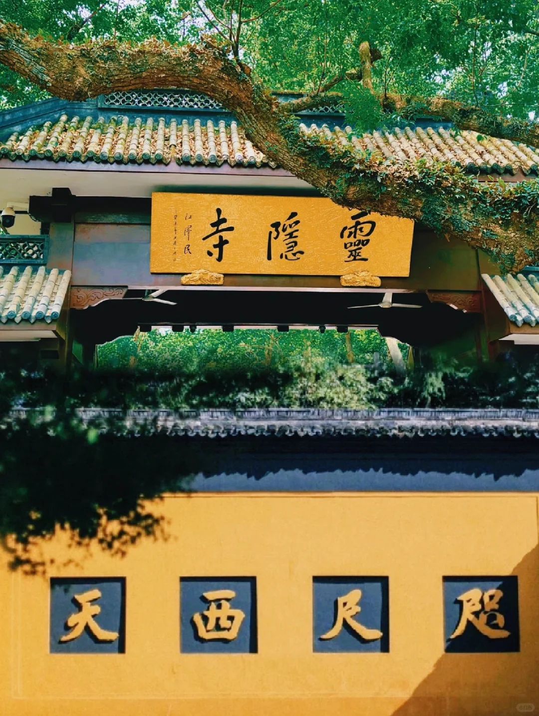 🍃五一来杭州 看这篇就够