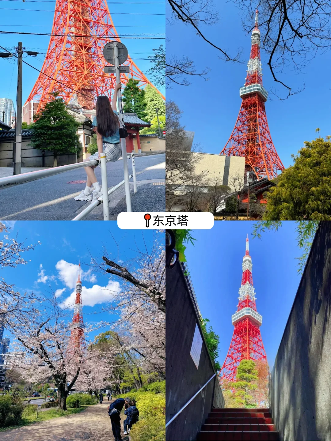 超详细🇯🇵东京旅游攻略～不走回头路❗