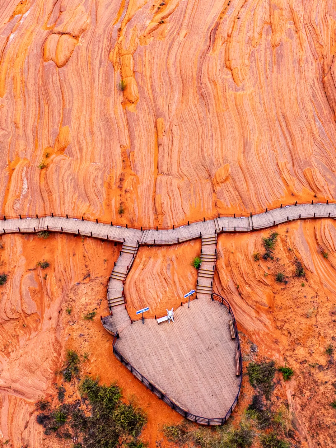 朋友圈问爆了💥还以为我去了国外🤣🤣🤣