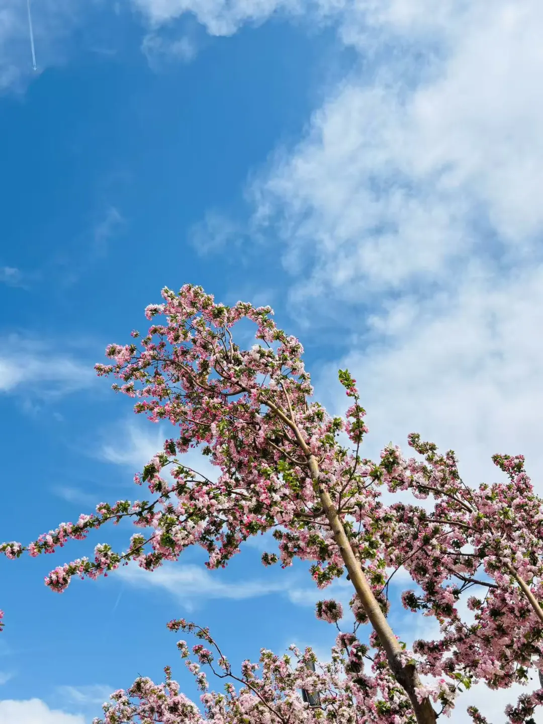 五一来天津的姐妹们注意啦💯来天津一定要看