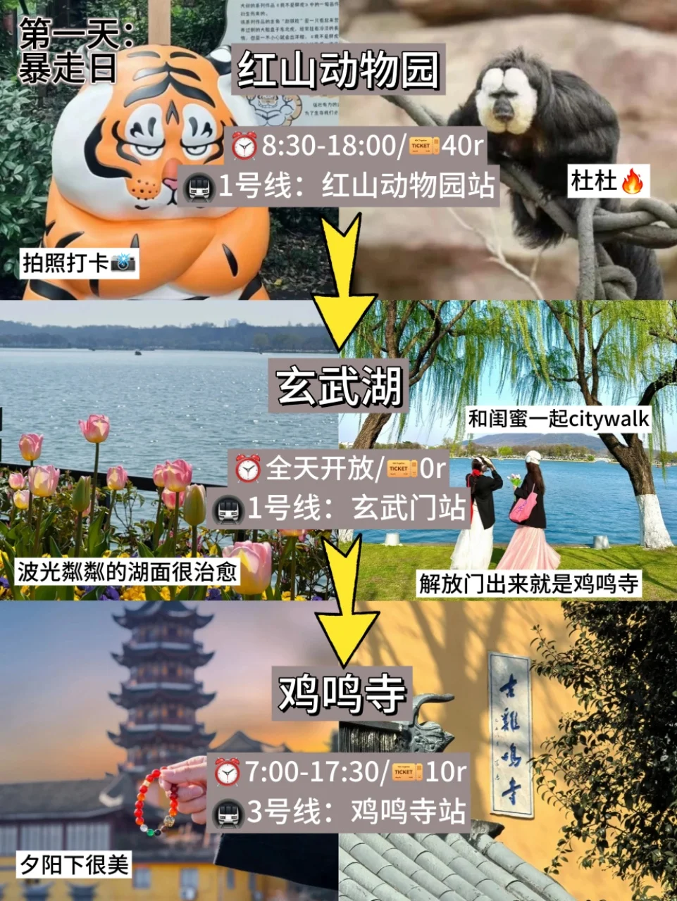 南京避雷...看完再决定要不要来南京