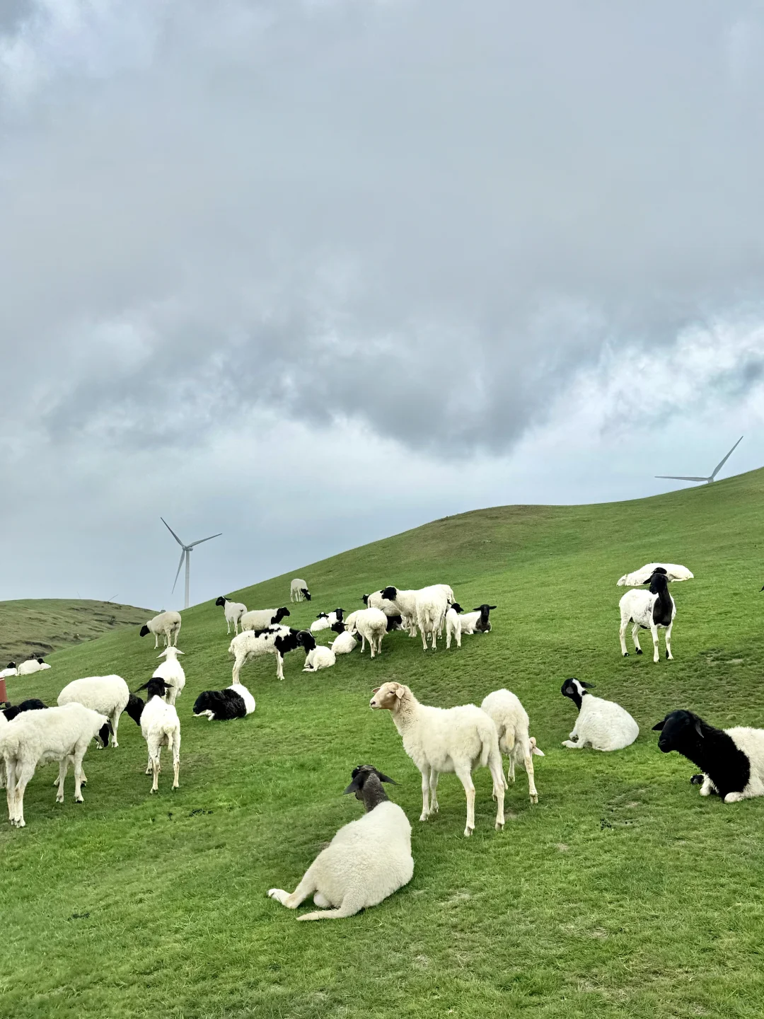 郴州2天2夜超详细旅游攻略！！