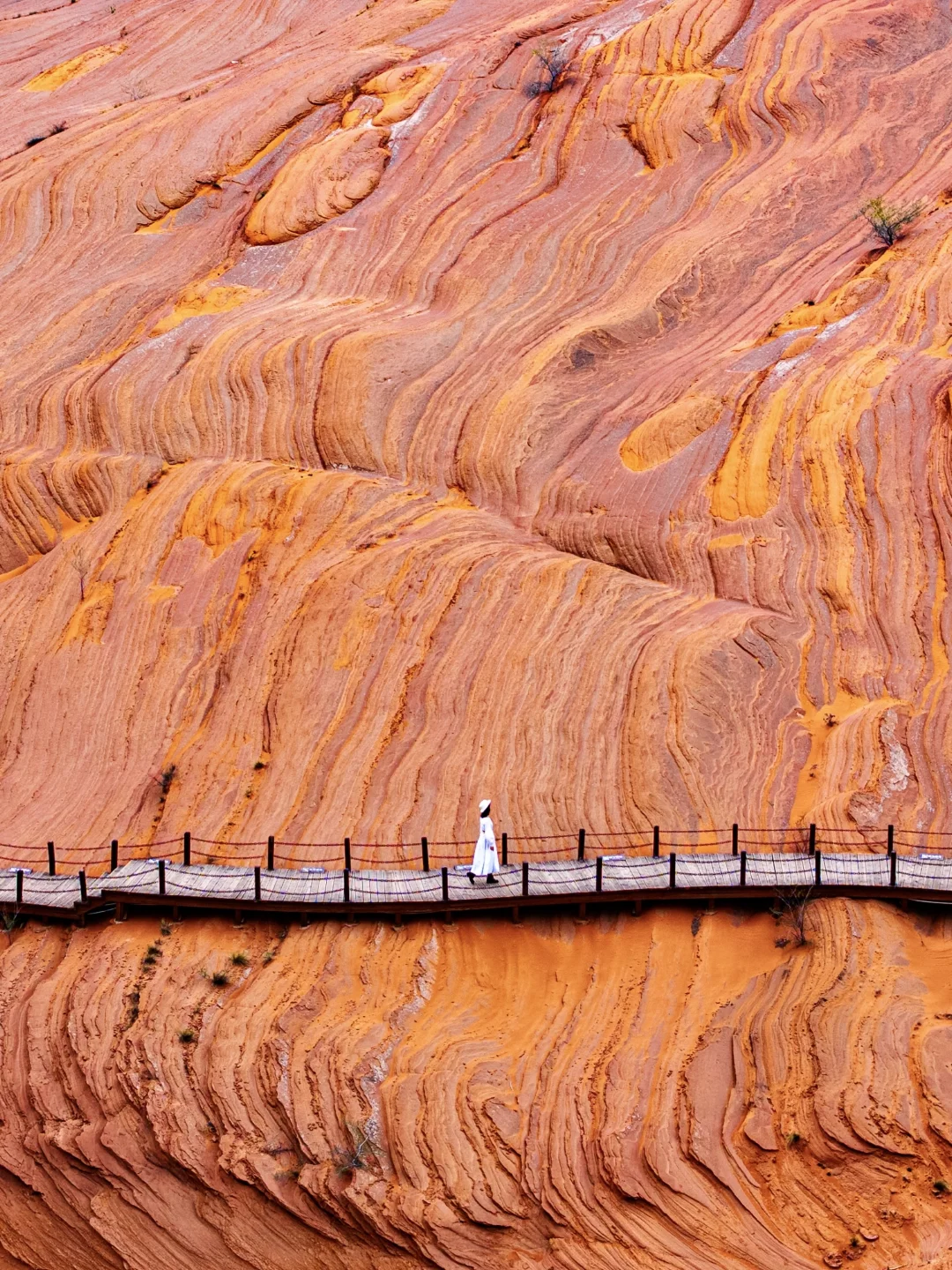 朋友圈问爆了💥还以为我去了国外🤣🤣🤣