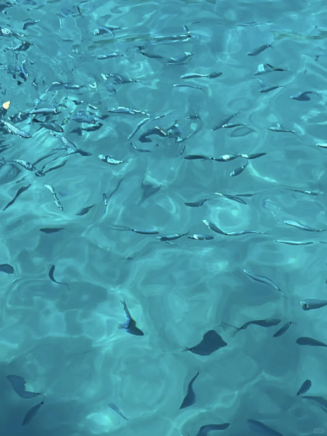 🇮🇹不用出国！意大利有自己的马尔代夫～